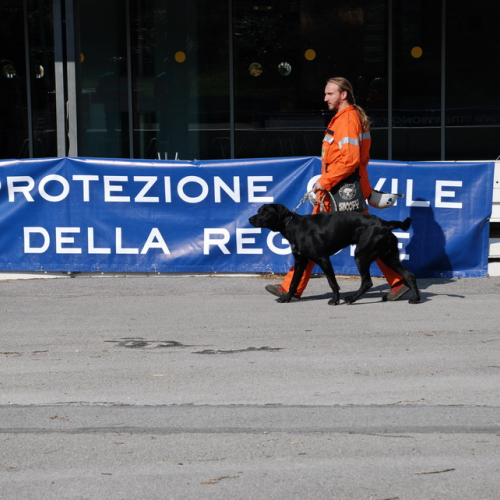 Manifestazione internazionale del volontariato di Gorizia n. 42 / 30176