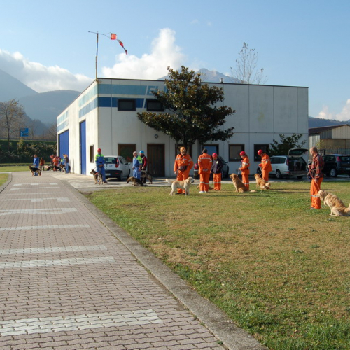 Corso Tolmezzo mattina 09/11n. 11 / 32073