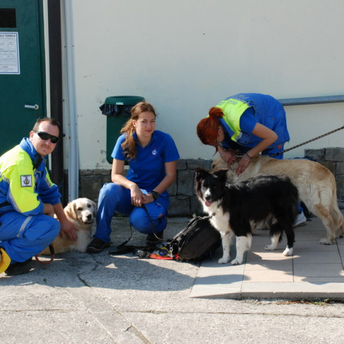 Attivit‡ formazione/divulgazione presso scuola Colugna n. 21 / 109892