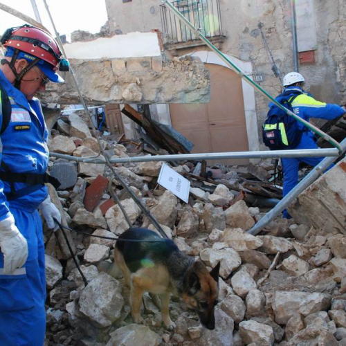 Abruzzo 07/04/09 n. 36 / 37284