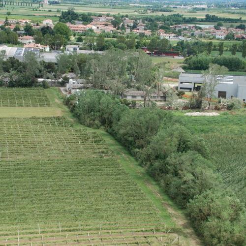 foto aeree n. 49 / 54605