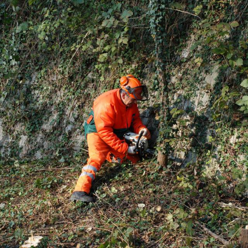 Esercitazione 19/11 n. 23 / 72897