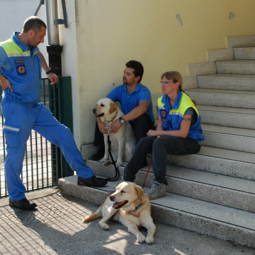 Attivit‡ formazione/divulgazione presso scuola Colugna n. 22 / 109893