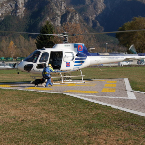 Corso Tolmezzo mattina 09/11n. 14 / 32076