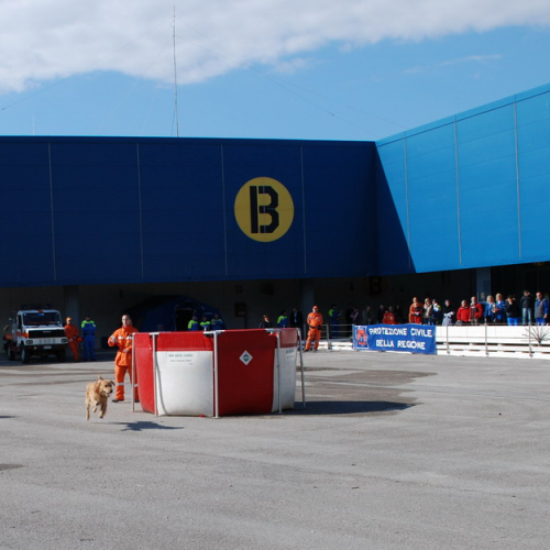 Manifestazione internazionale del volontariato di Gorizia n. 46 / 30180