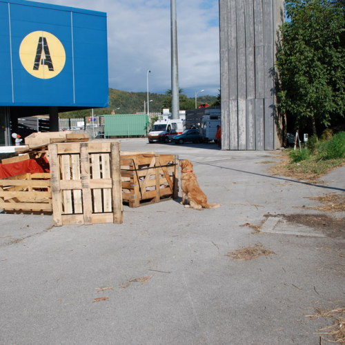 Manifestazione internazionale del volontariato di Gorizia n. 47 / 30181