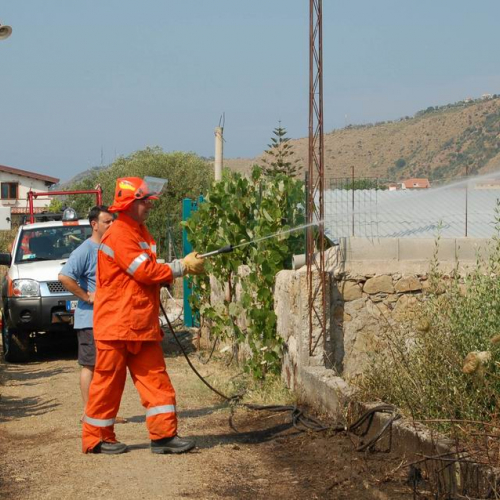 Volontari in Sicilia - Primo turno 32 / 26939