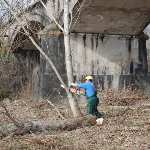 Intervento alveo Torre nelle vicinanze dell'abitato di Salt n. 51 / 78725