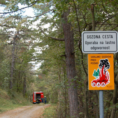 Foto TRSTELJ 07 n. 1 / 18219