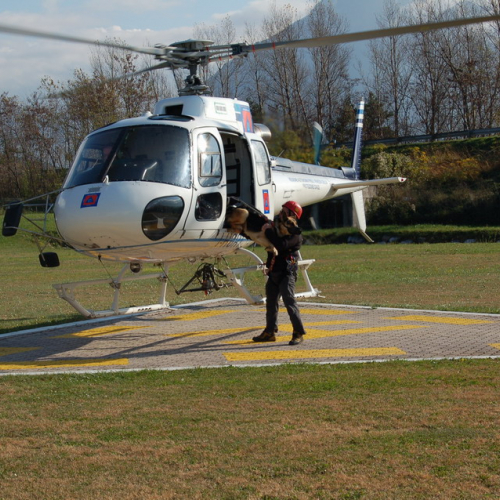 Corso Tolmezzo mattina 09/11n. 17 / 32079