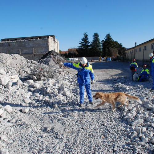 foto esercitazione 29 / 33999