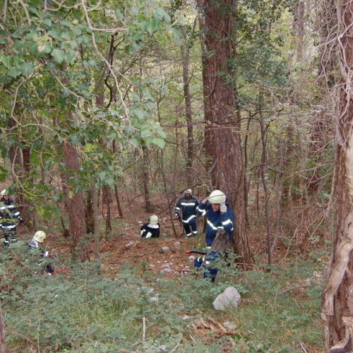 Foto TRSTELJ 07 n. 2 / 18220