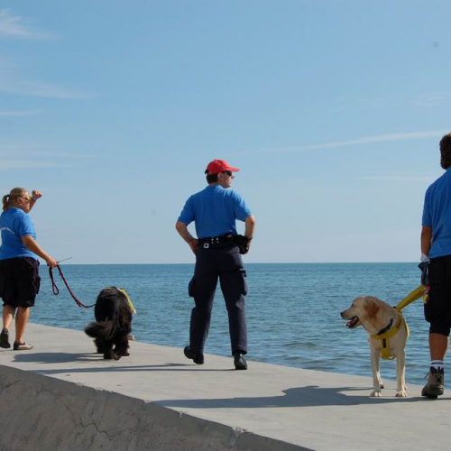 Grado Air Show 2007 44 / 15776