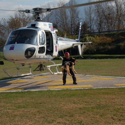 Corso Tolmezzo mattina 09/11n. 18 / 32080