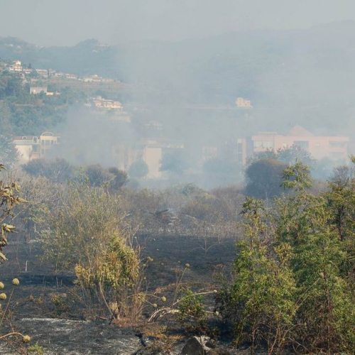 Volontari in Sicilia - Primo turno 34 / 26941