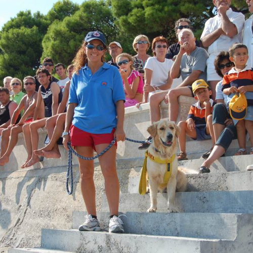 Grado Air Show 2007 45 / 15777