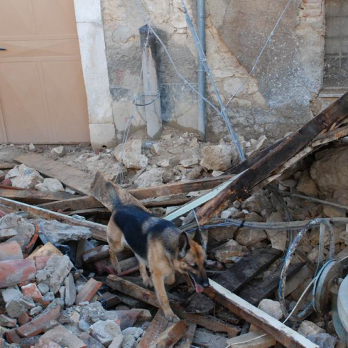 Abruzzo 07/04/09 n. 40 / 37288