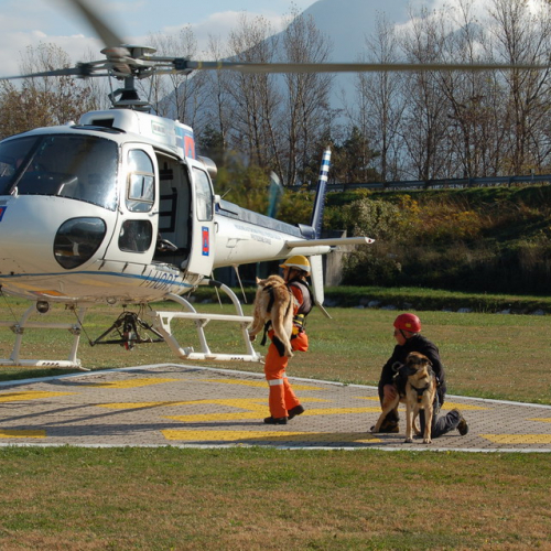 Corso Tolmezzo mattina 09/11n. 19 / 32081