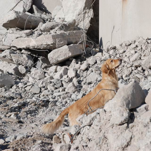 foto esercitazione 30 / 34000