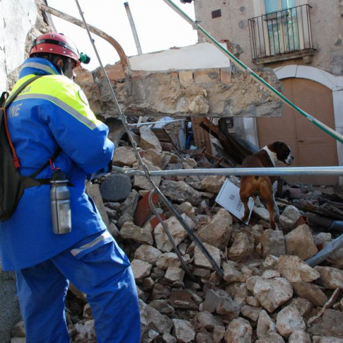 Abruzzo 07/04/09 n. 42 / 37290