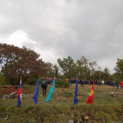 Foto TRSTELJ 07 n. 5 / 18223