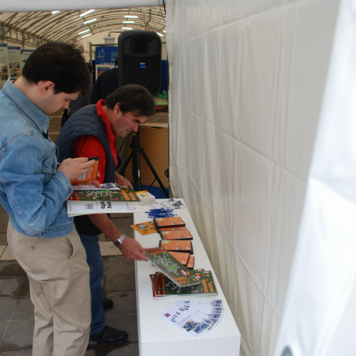 Stand a Pordenone n. 29 / 52351