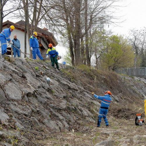 Alvei Puliti 2012 n. 48 / 78249