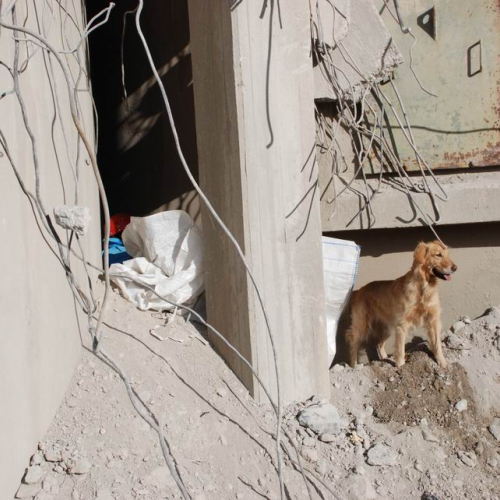 foto esercitazione 31 / 34001