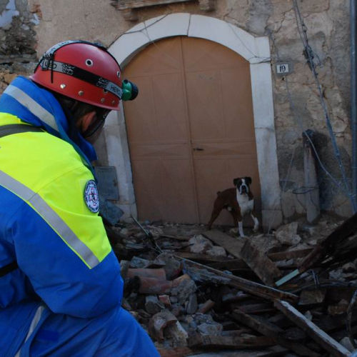 Abruzzo 07/04/09 n. 43 / 37291