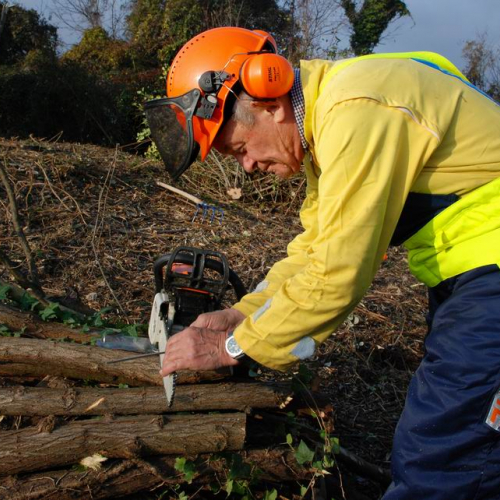 Esercitazione 20/11 n. 1 15 / 73055