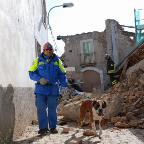 Abruzzo 07/04/09 n. 44 / 37292