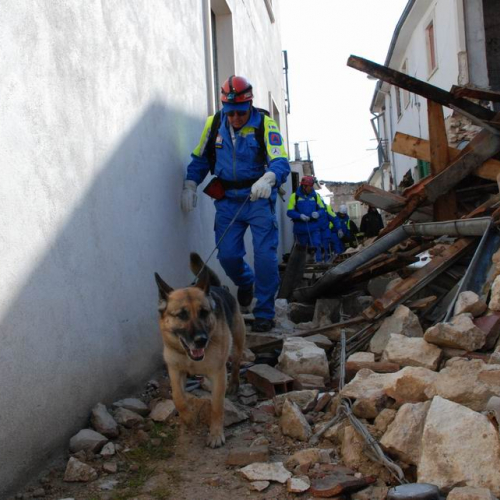 Abruzzo 07/04/09 n. 45 / 37293