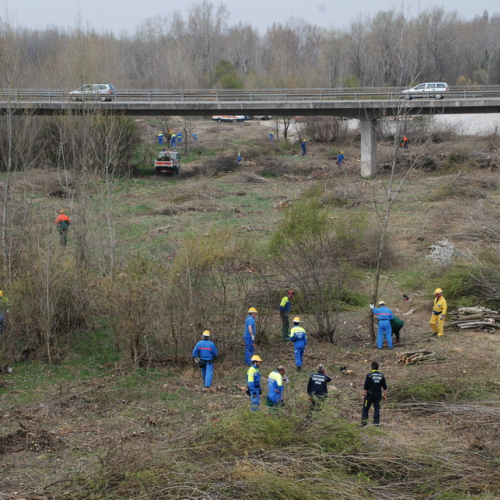Intervento alveo Torre nelle vicinanze dell'abitato di Salt n. 53 / 78727