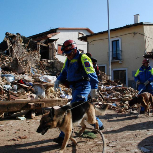 Abruzzo 07/04/09 n. 46 / 37294