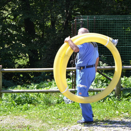 Attivit‡ del 01/09 n. 17 / 98883