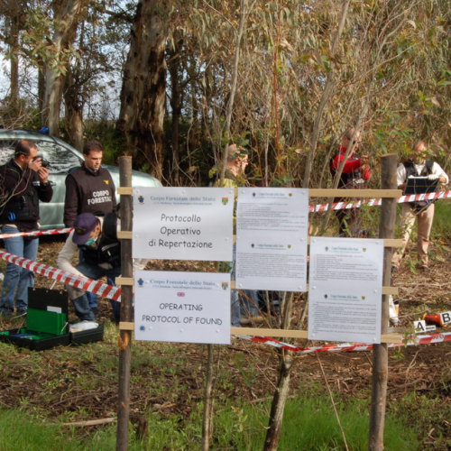 Foto esercitazione n. 12 / 22724