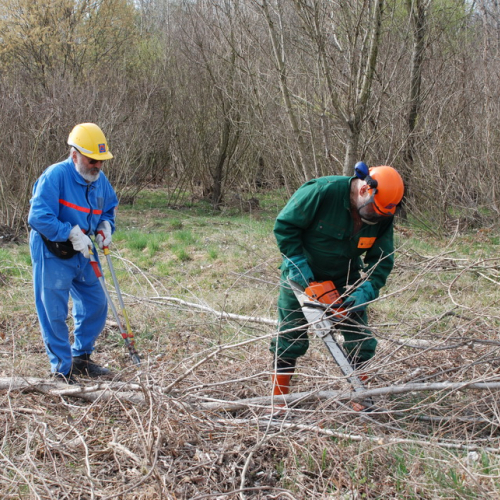 Intervento alveo Torre nelle vicinanze dell'abitato di Salt n. 54 / 78728