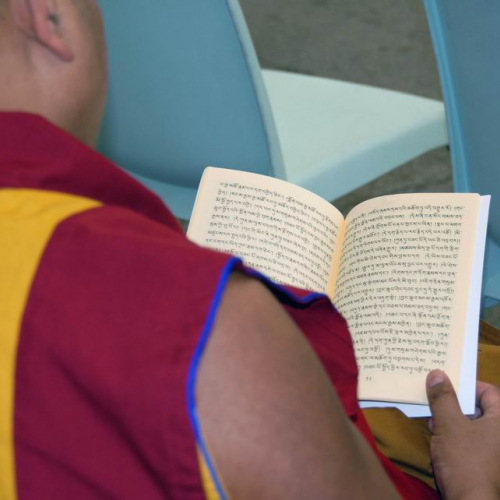 Visita Dalai Lama Mirandola n. 40 / 83600