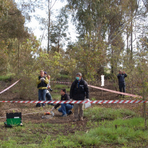 Foto esercitazione n. 13 / 22725