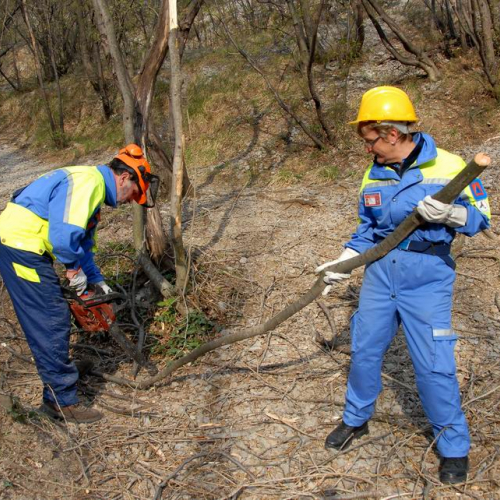 Alvei Puliti 2012 n. 51 / 78252