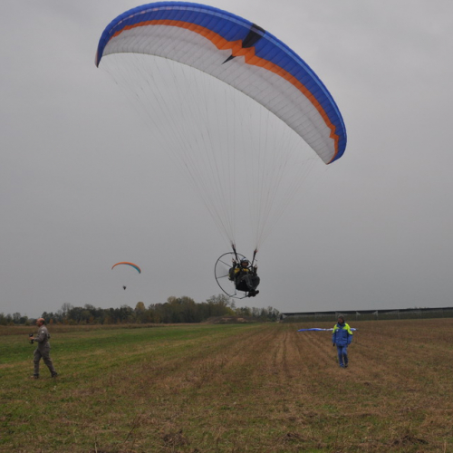 Addestramento ricerca persone 10/11 n. 41 / 88384