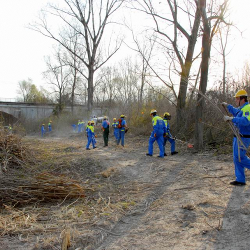 Alvei Puliti 2012 n. 52 / 78253