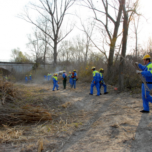 intervento Fiume Meduna Ponte Strada Statale 13 n. 6 / 78430