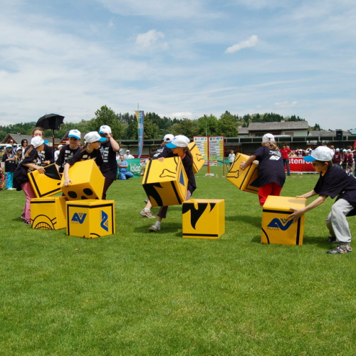 Finale Olimpiadi della Sicurezza n. 46 / 52469