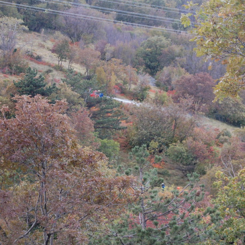 Foto TRSTELJ 07 n. 15 / 18233