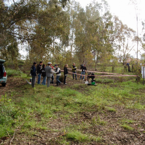 Foto esercitazione n. 17 / 22729