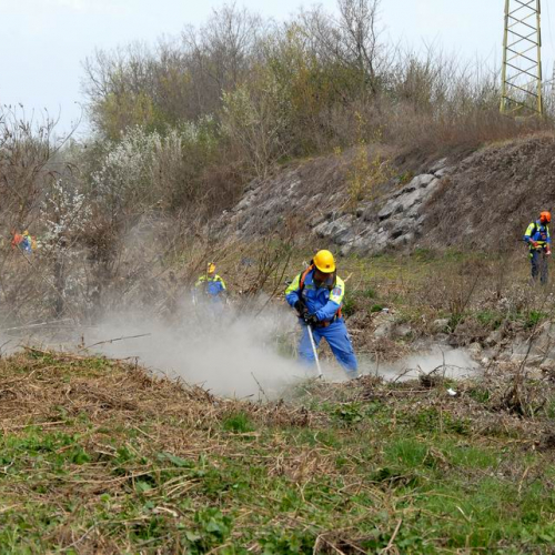 Alvei Puliti 2012 n. 53 / 78254