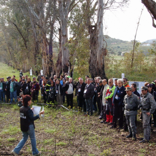 Foto esercitazione n. 18 / 22730