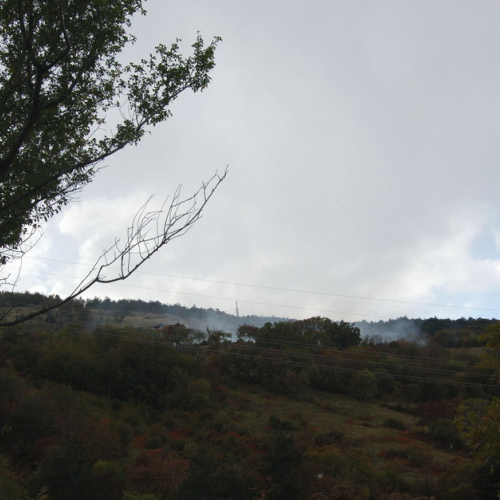 Foto TRSTELJ 07 n. 17 / 18235