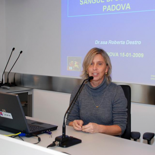 Conferenza stampa 21 / 34136